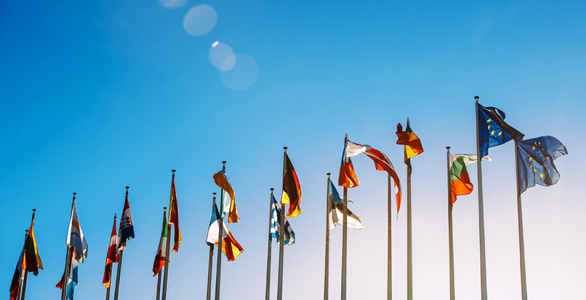 gdpr flags