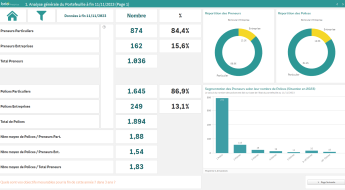 Brio analytics fr