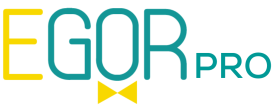 e-GOR Pro